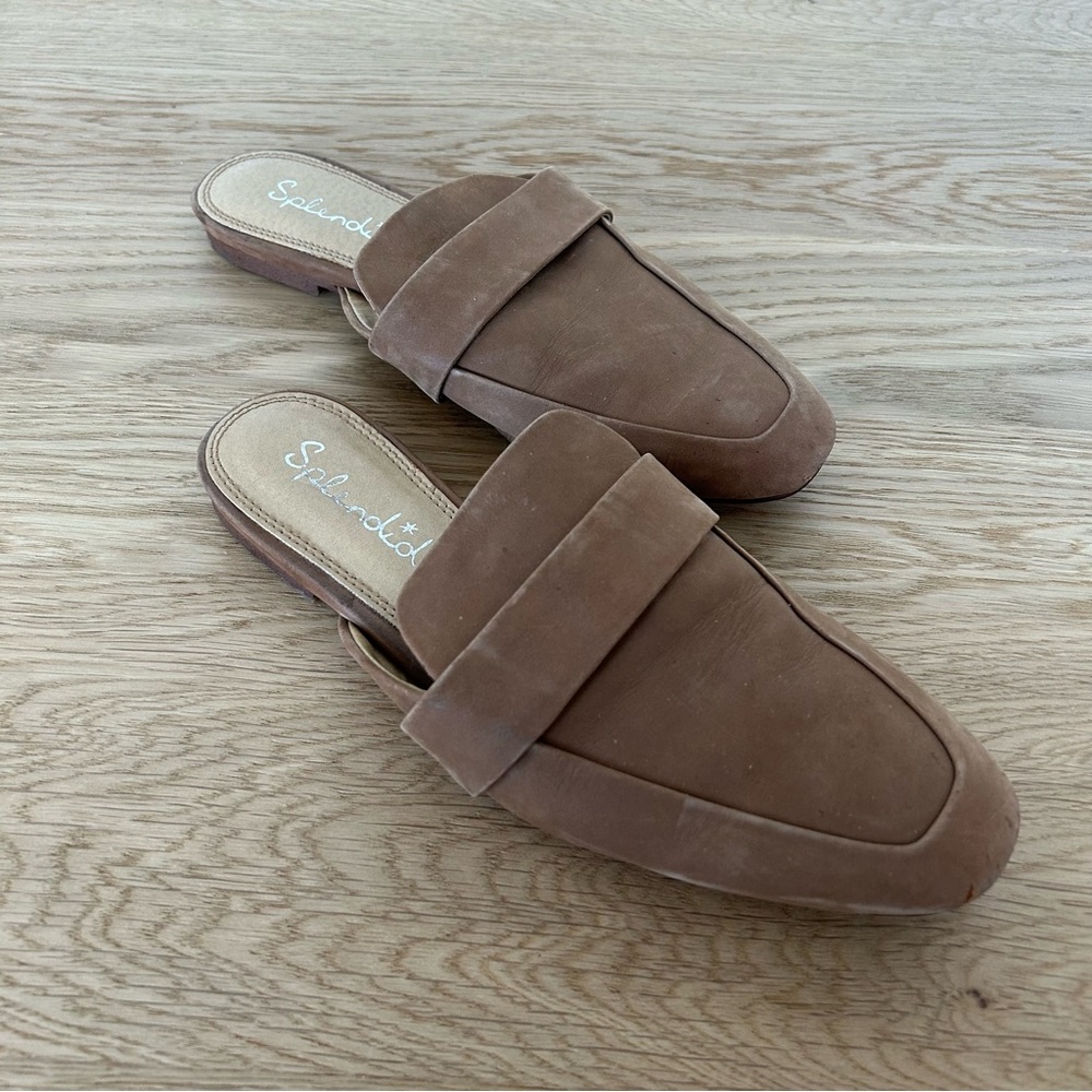 Splendid Suede Mule